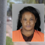 Mugshot of Minnesota woman Sophia Sullivan